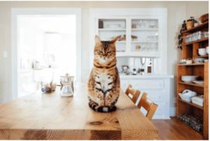 clean kitchen