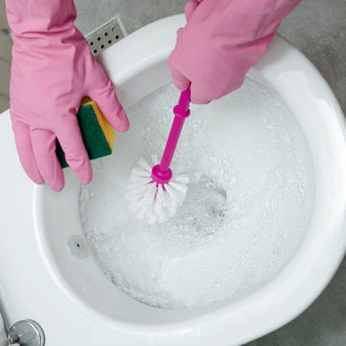 How to Clean A Toilet: A Foolproof Guide