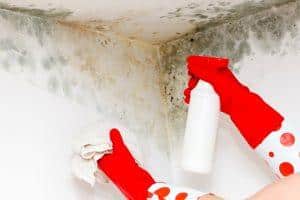 how to get rid of black mold from walls