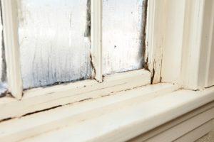 how to get rid of black mold in windows