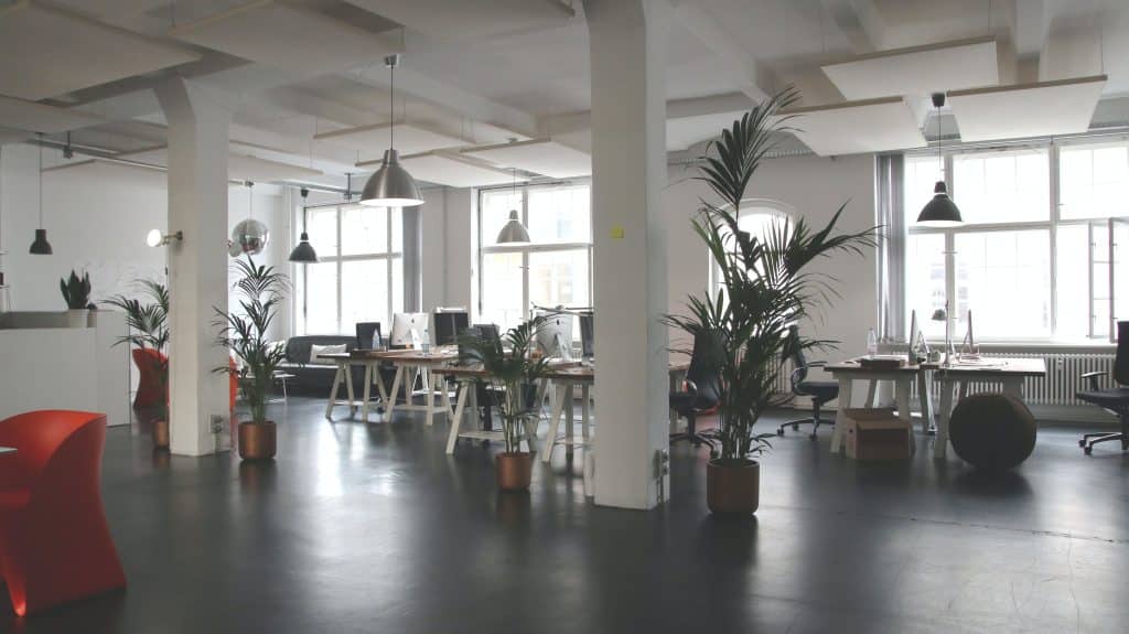 office and Green Leafed Plants 