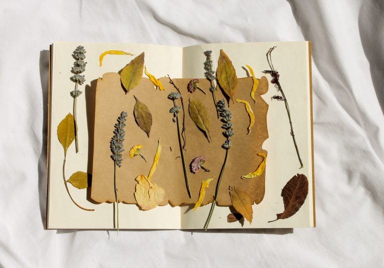 dry flowers and leaves lying on a notebook