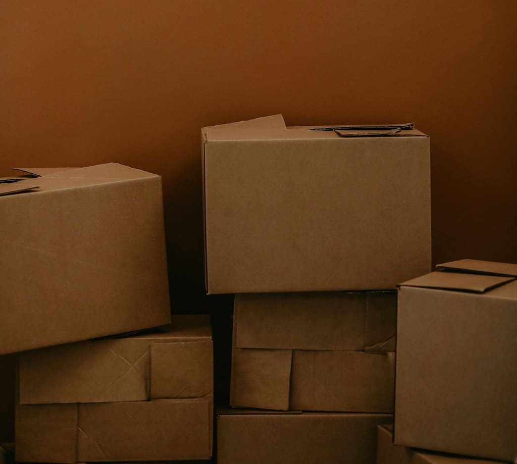 Cardboard storage boxes