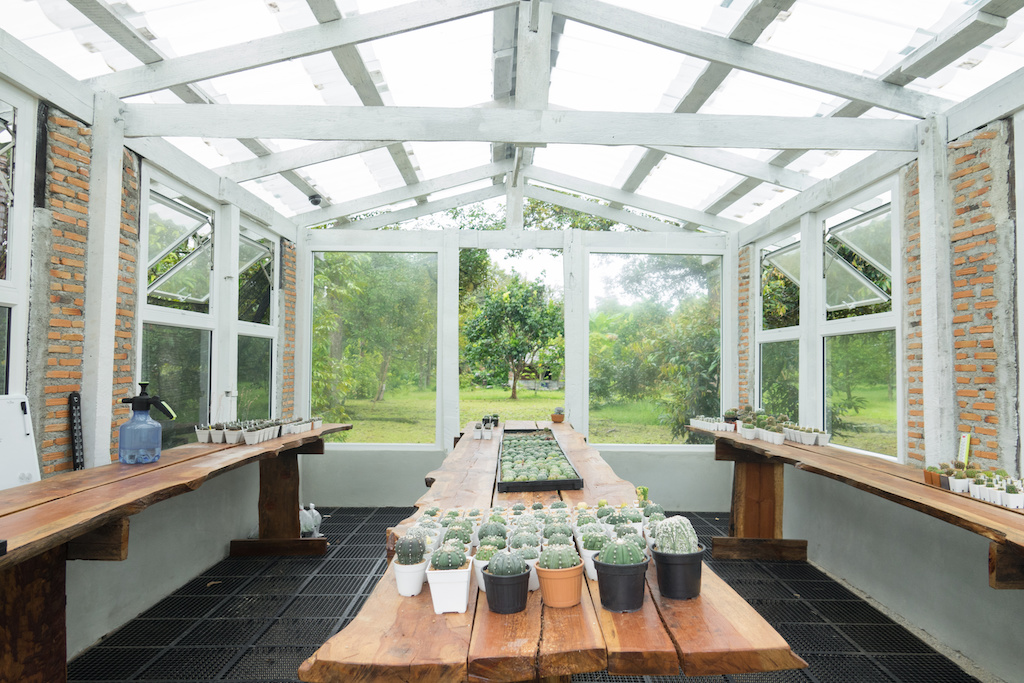 Conservatory to grow cactus to keep temperature warm