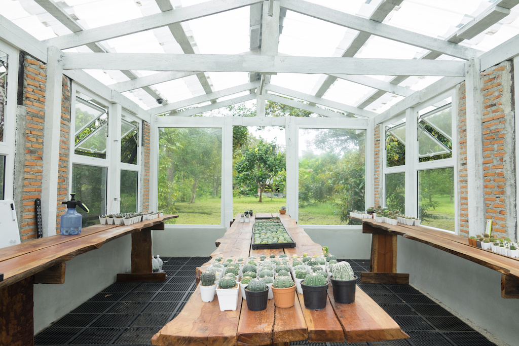 How to Stop Condensation in Conservatory Tips & Strategies