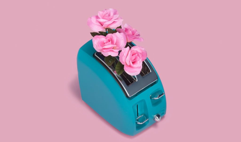 flowers in toaster on pink background