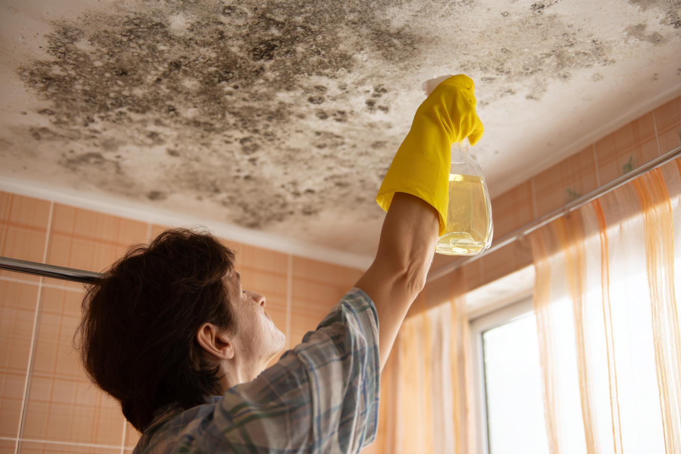mould on bathroom ceiling