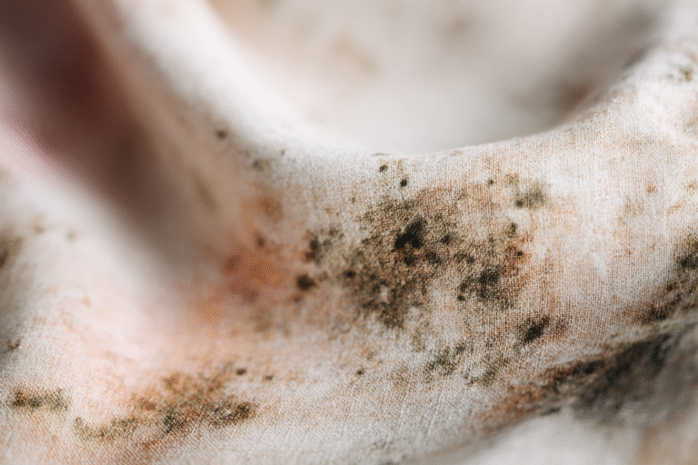 how to remove mould from fabric